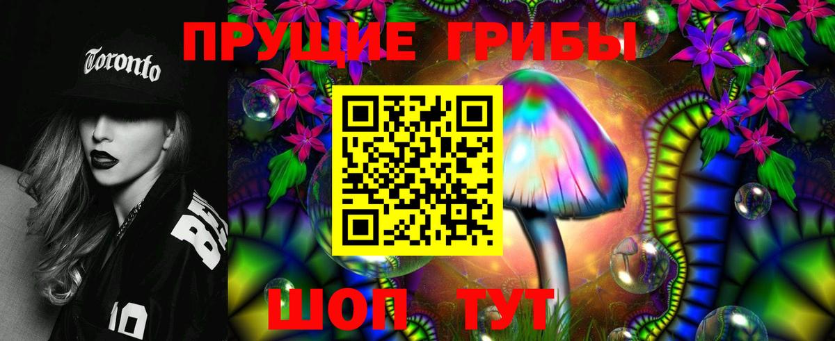 Бугуруслан  Галлюциногенные грибы Cubensis  Вход с VPN  Галлюциногенные грибы прущие грибы 